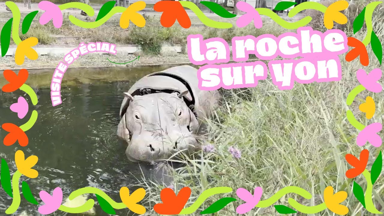 🌟 *Découvrez La Roche sur Yon !* 🌟