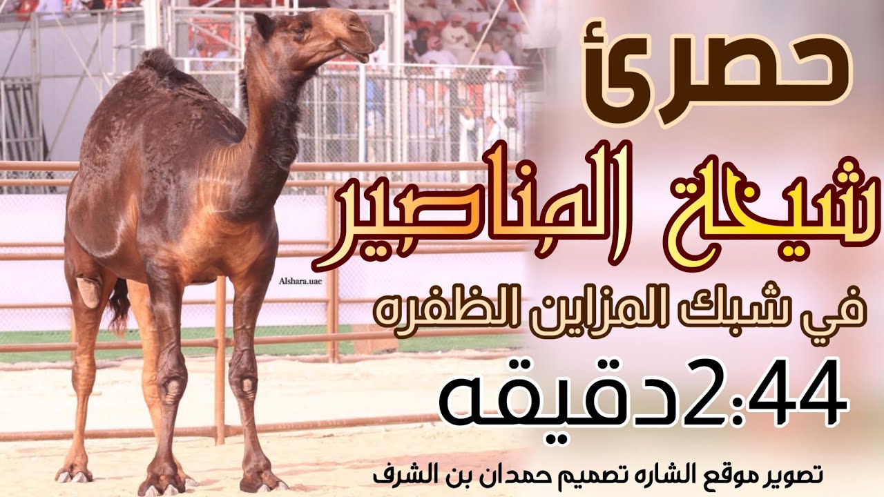 اهداء لـ جمهور شيخة المناصــير