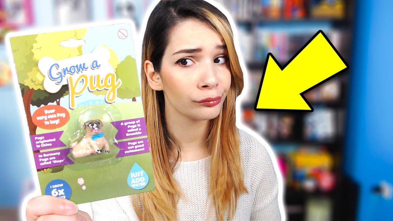 IL PUG CRESCE DA SOLO! - 5 Strani Oggetti