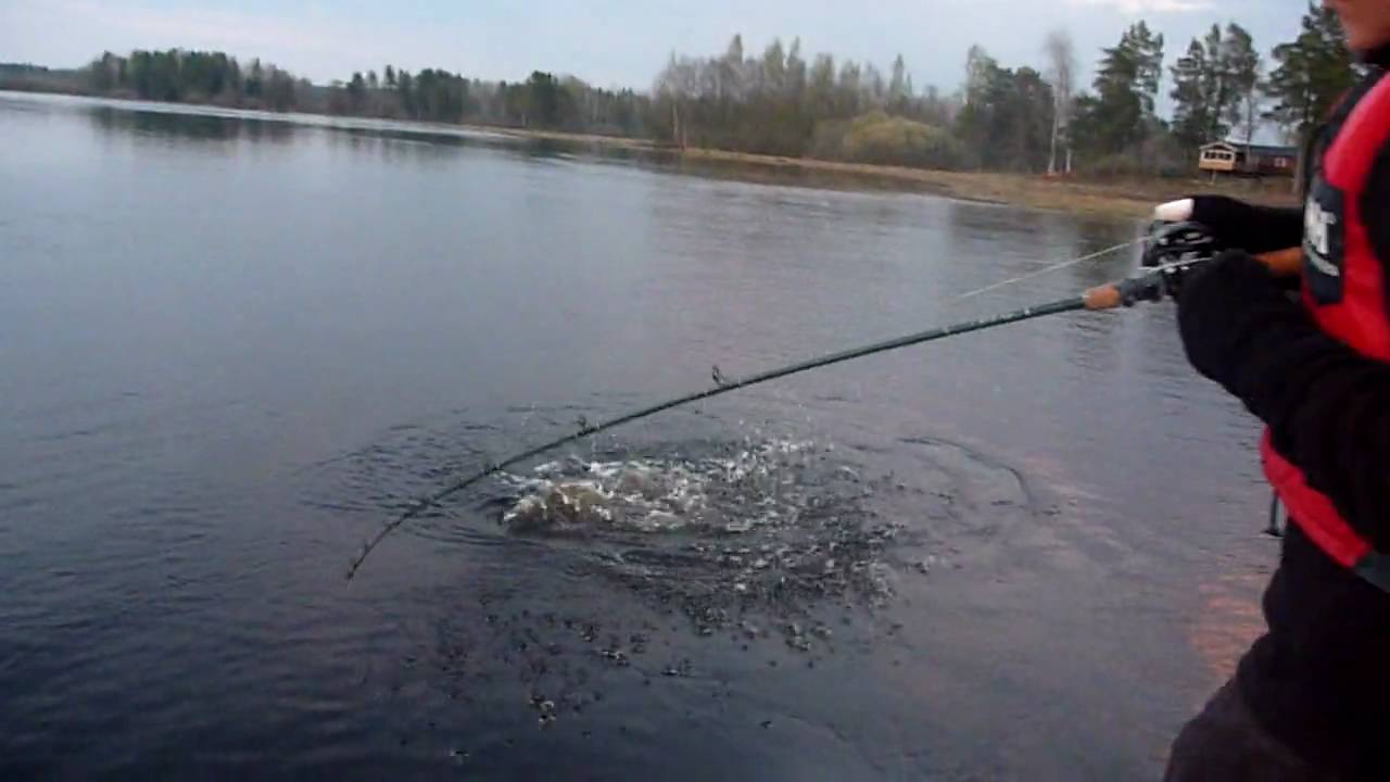 Storg&auml;dda - Dal&auml;lven