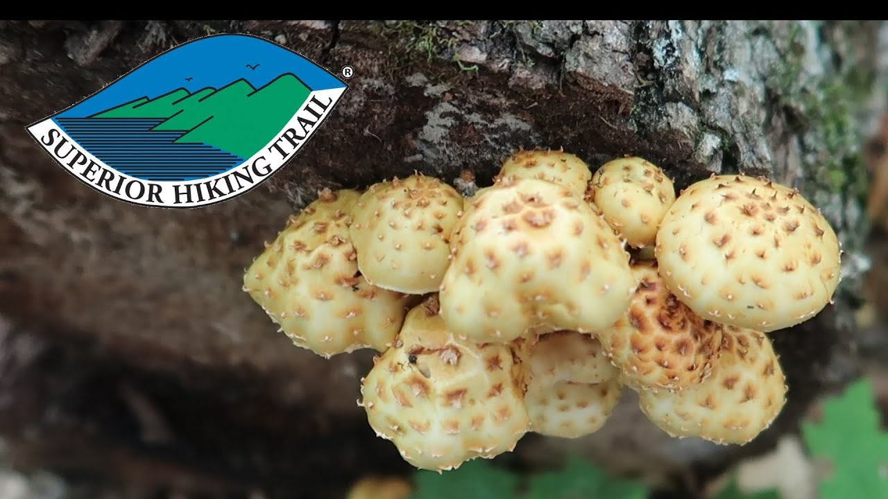 Superior Hiking Trail thru-hike - Days 14-15 | Silver Creek to Big Bend