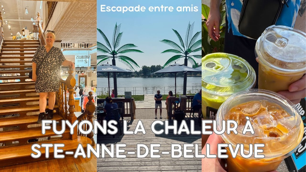 UNE JOURNÉE À STE-ANNE-DE-BELLEVUE ET AU IKEA POUR FUIRE LA CHALEUR - ESCAPADE ENTRE AMIS - VLOG