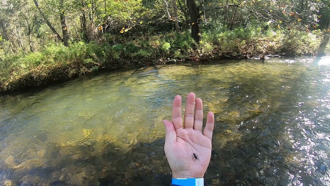 Duke's Creek October 2021 PT 2