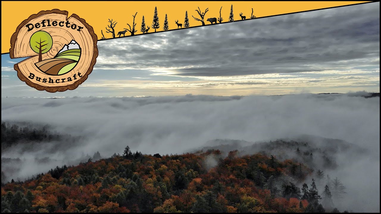 O Přírodě: Co je to Mlha, jak Vzniká a jak se Projevuje ☁️🌫️🌞