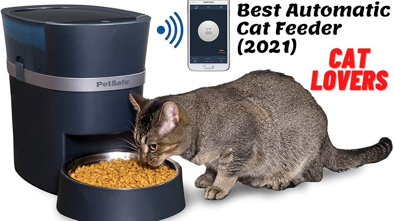 Top 5 Best Automatic Pet Feeder | Amazon | Video | Review