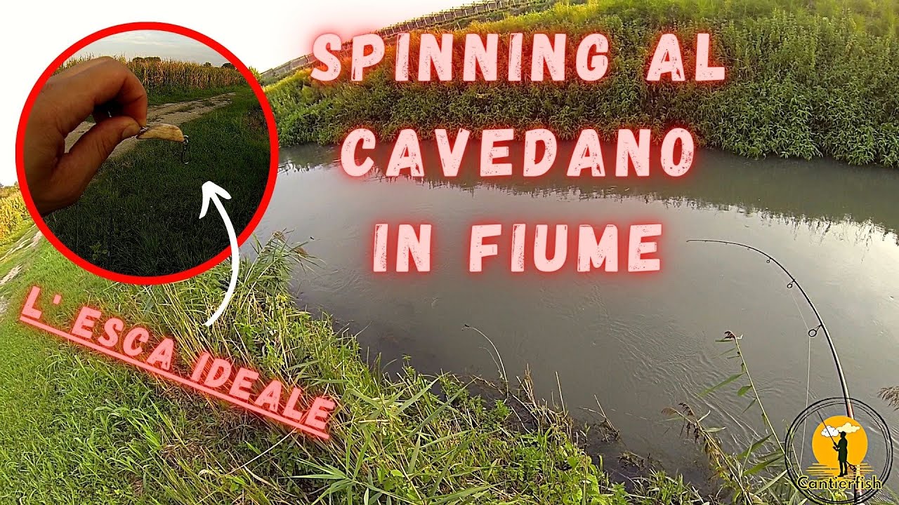 L' esca ideale per lo SPINNING AL CAVEDANO IN FIUME