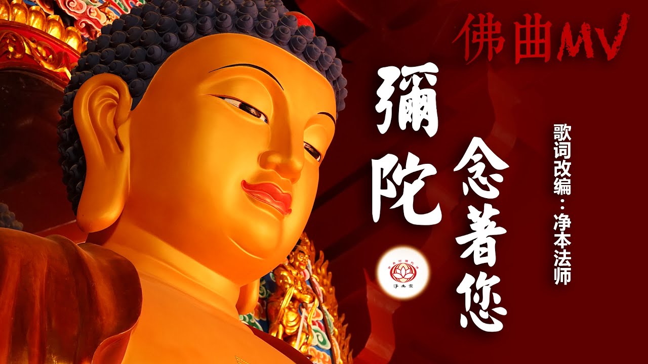【佛曲】弥陀 念着您 (净本法师 改编 / 原曲:墙外)