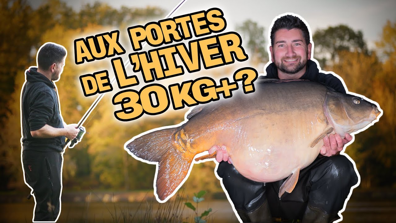 GROS POISSONS aux portes de L'HIVER - PÊCHE aux SPOTS payante avec Julien FILLEUL