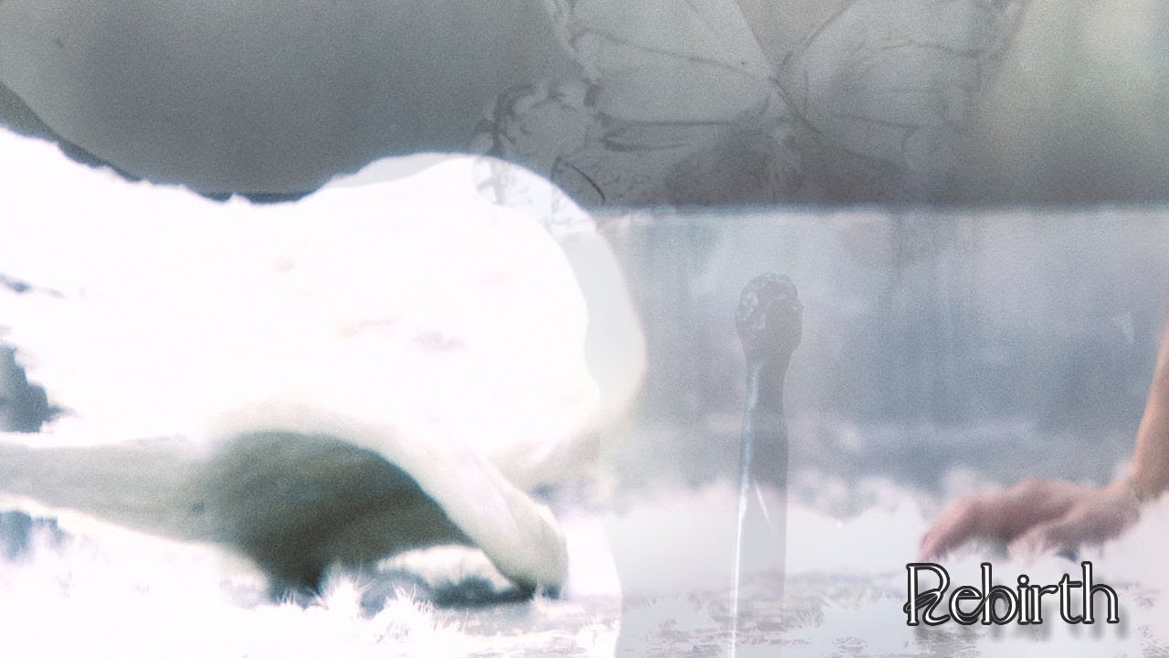 &Team 'Back to Life' Concept Theories || Breath, Gaze, & Roar