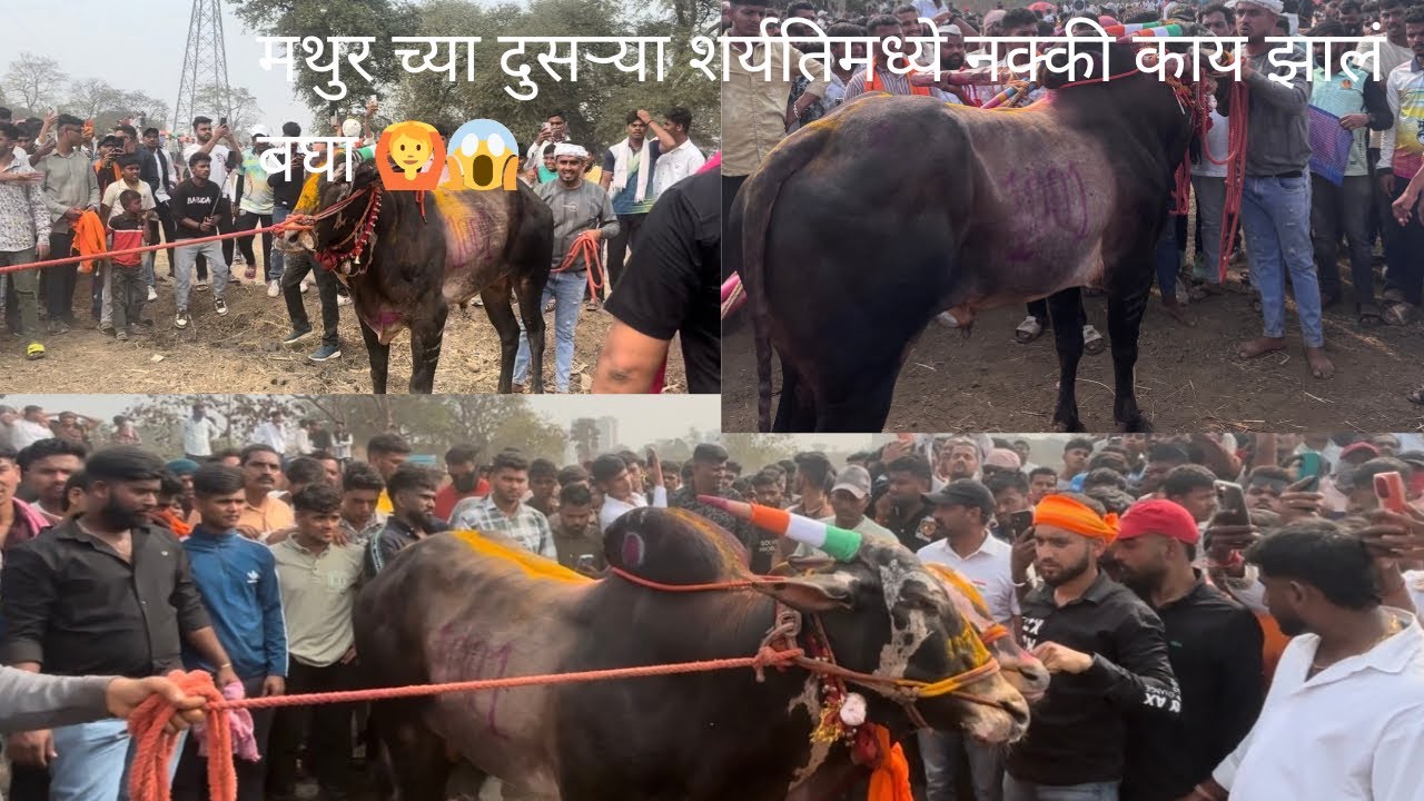 मथुर vs पिस्तण मध्ये काय घडलं 😱🙆| 