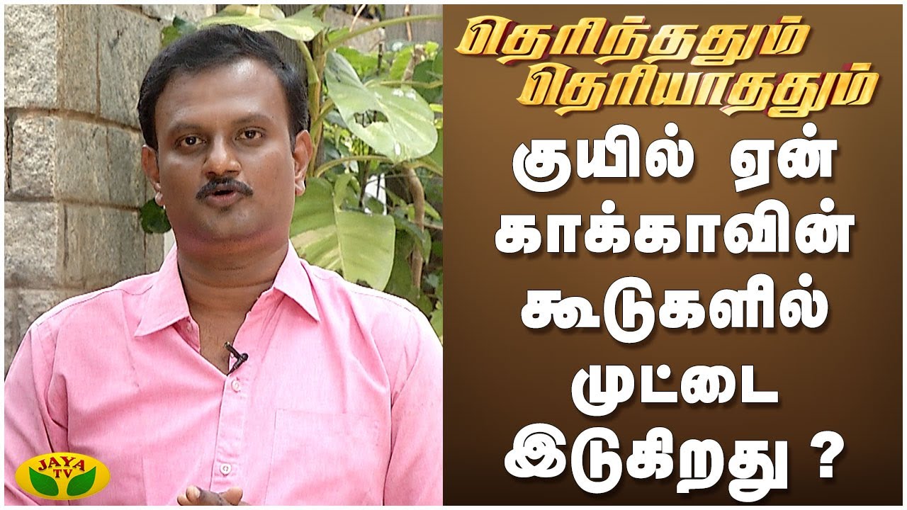 Why does a cuckoo lay eggs in a cuckoo's nest? | Kaalai Malar | JayaTv