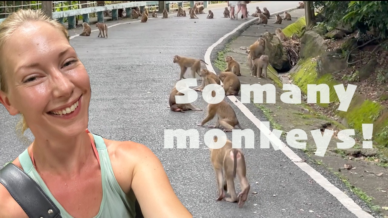A thousand monkeys and some more boat projects
