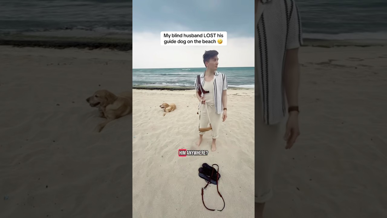 My blind husband LOST his guide dog at the beach 😂 #shorts