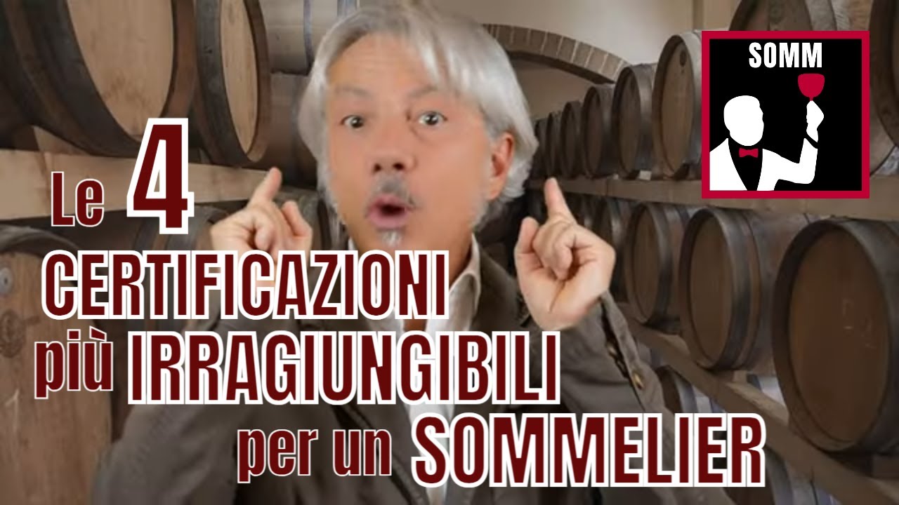SOMMELIER: le 4 più IRRAGIUNGIBILI (e PRESTIGIOSE) CERTIFICAZIONI del MONDO