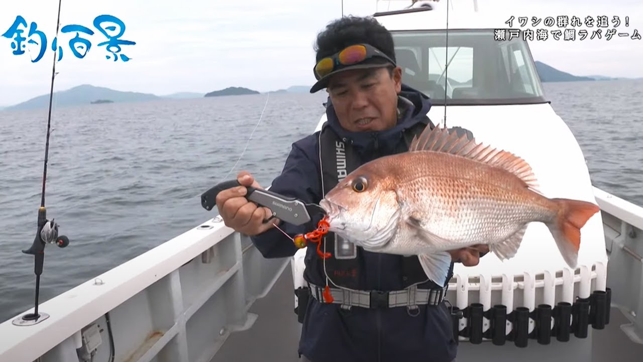 【釣り百景】#408 イワシの群れを追う！瀬戸内海で鯛ラバゲーム