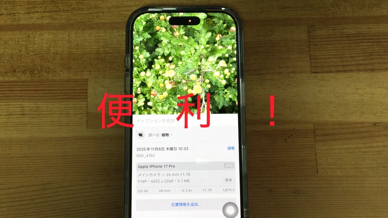 この AI  調べ　便利！ チョー簡単！