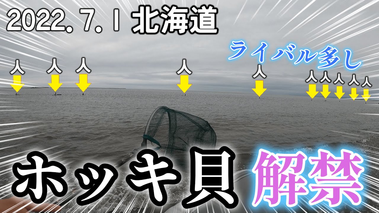【ホッキ貝解禁】砂に埋もれた高級食材を探せ！