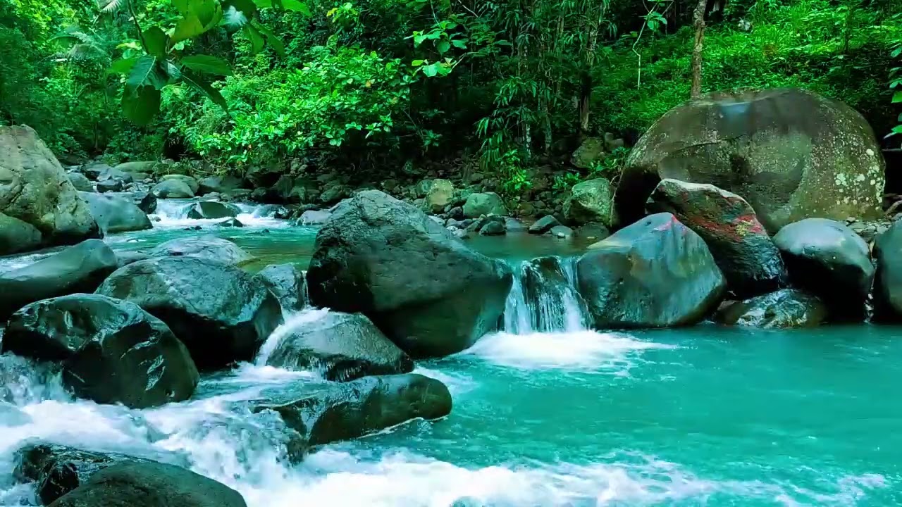Relax in Nature - Gentle River for Calm, Focus & Sleep, Relaxing Nature Sounds