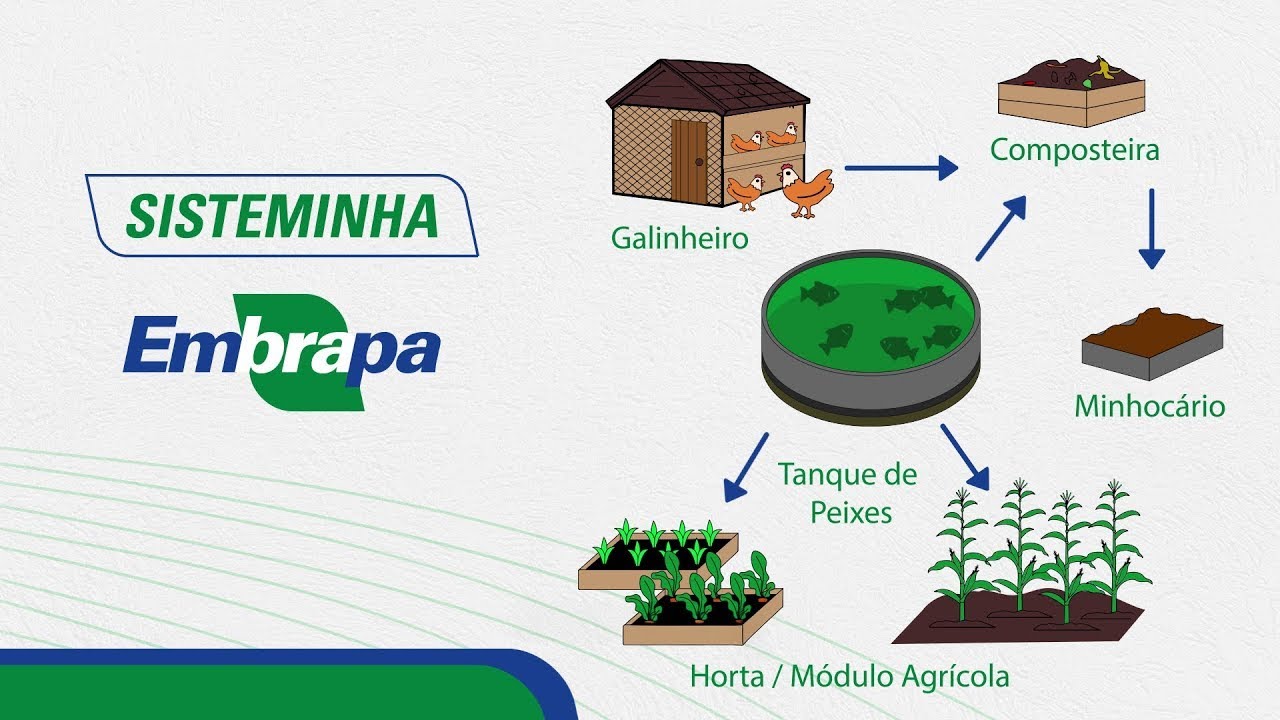 Como montar um Sisteminha Embrapa - Produção Sustentável de Alimentos em Pequenas Áreas