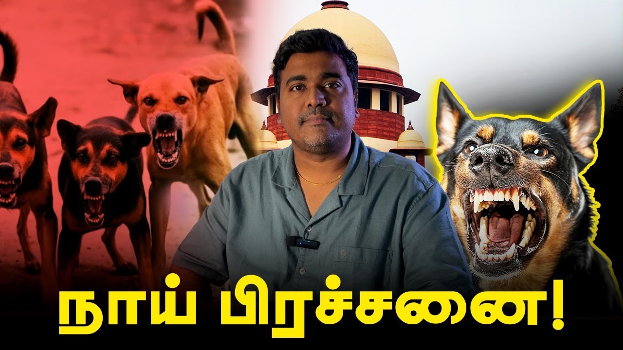 Stray Dog Issue in India | Reason and Solution | Kichdy Explains