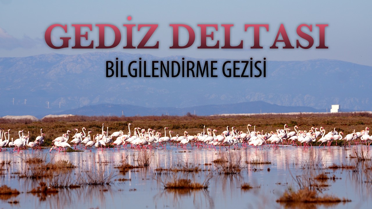 T&Uuml;RSAB İzmir Gediz Deltası Bilgilendirme Gezisi