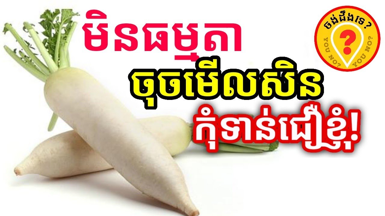Advantages of Radish and Daikon for human health អត្ថប្រយោជន៍ឆៃថាវ