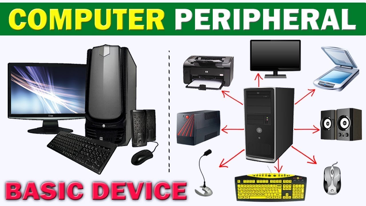 Computer Peripherals & Devices Examples, Types & Uses | INPUT |OUTPUT | STOREGE | BY PUNEET  SIR