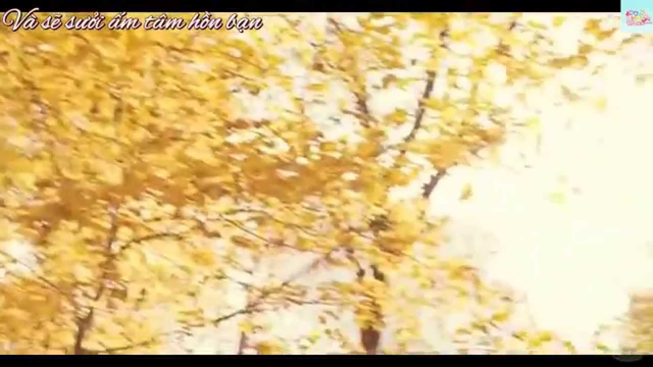 [Roy's Wings][Vietsub][FMV] Vương Nguy&ecirc;n- Fix You (C&ugrave;ng em đến cuối chặng đường)