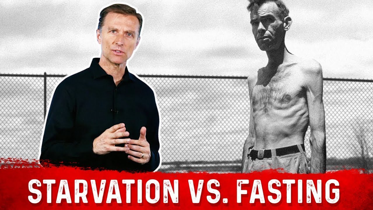 The Minnesota Starvation Experiment