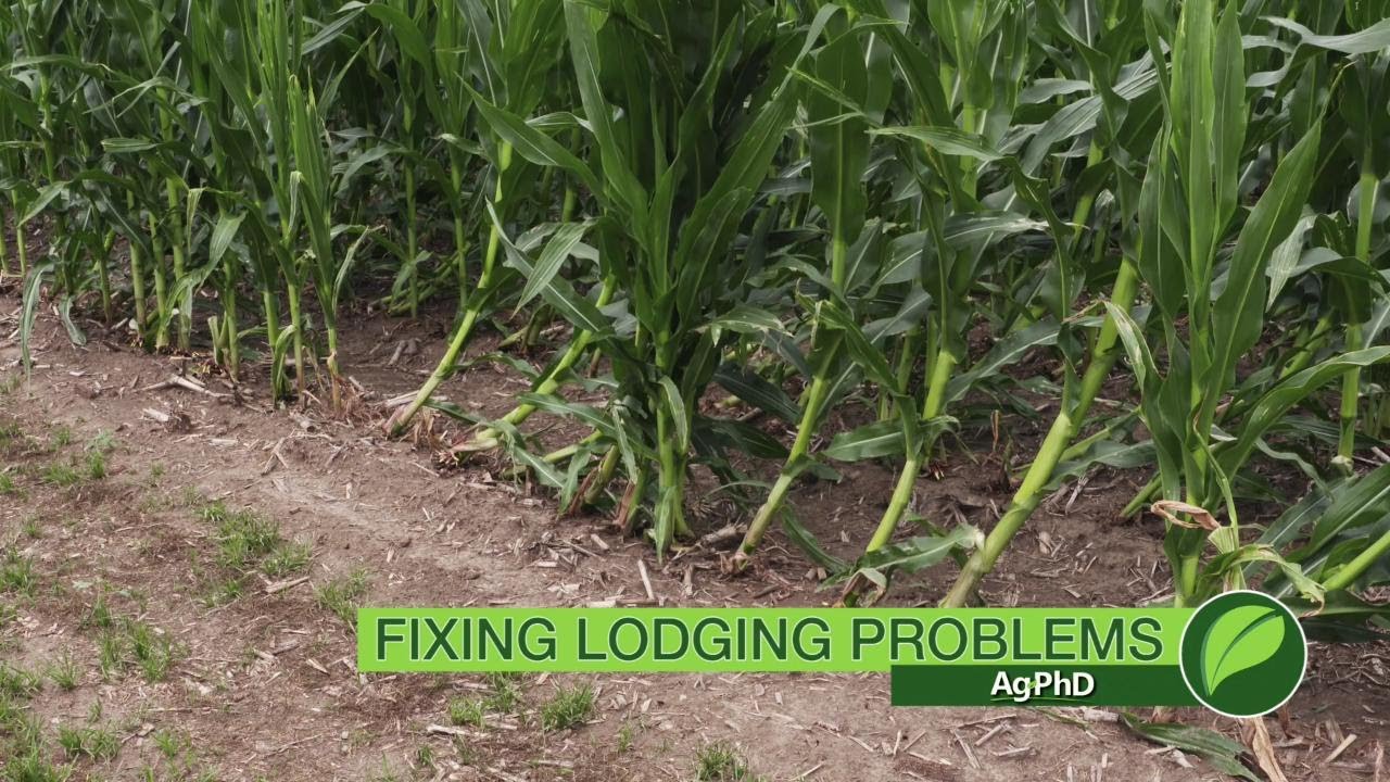 Fixing Lodging Problems #1054 (Air Date 6-17-18)