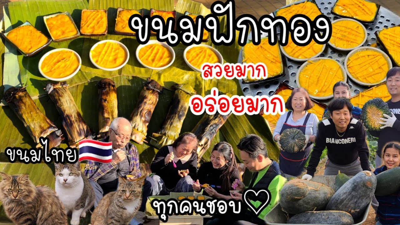 EP.431 ขนมฟักทองทำง่ายเเละอร่อยมาก ได้รับคำชมจากครอบครัวเกาหลีด้วยจ้า 5555 ดีใจหลายๆ #ขนมไทย