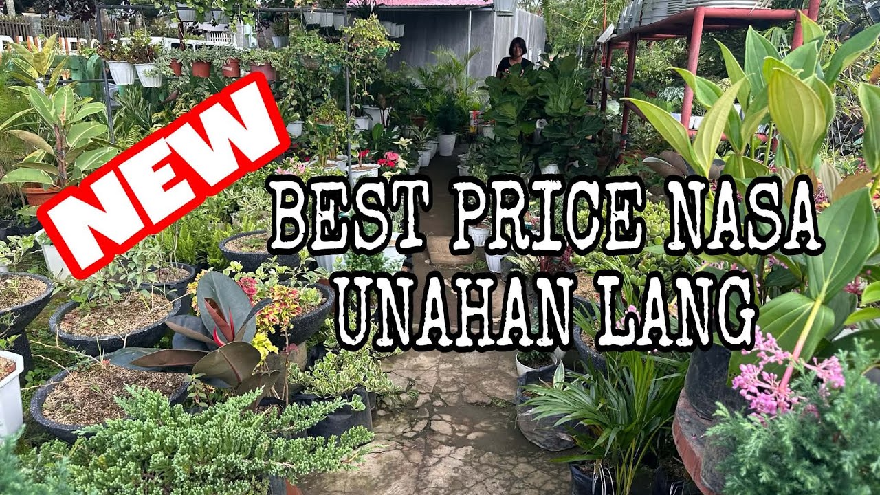 GARDEN TOUR BEST PRICE NASA UNAHAN  LANG 