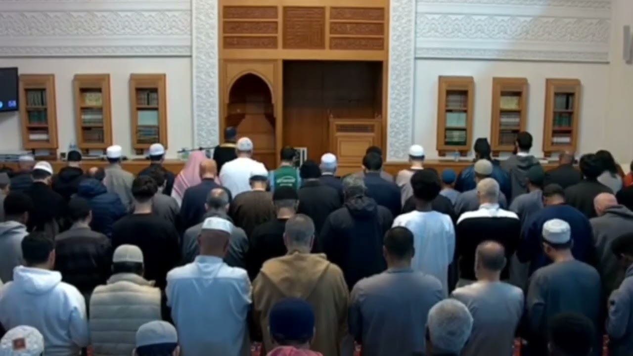 لم تسمع اللاهوني بهذا الأداء من قبل! 🌫️ عبق 