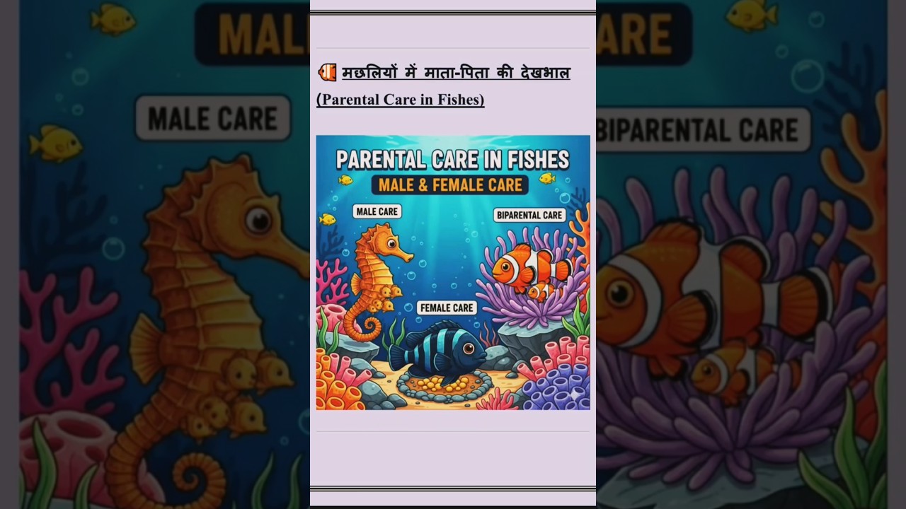 Parental care in fishes complete notes for BSc NEP and MSc students.  #ParentalCareInFishes