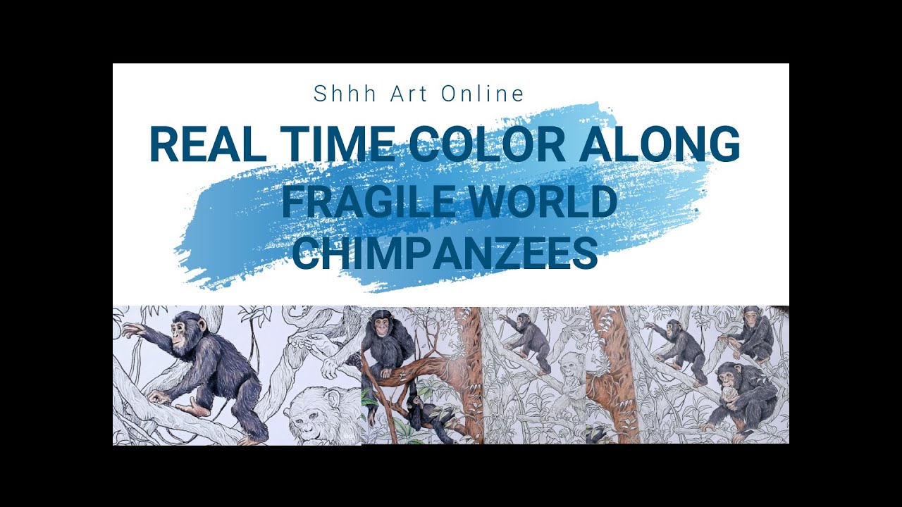 Real Time Color Along/Fragile World by Kerby Rosanes/ Chimpanzees