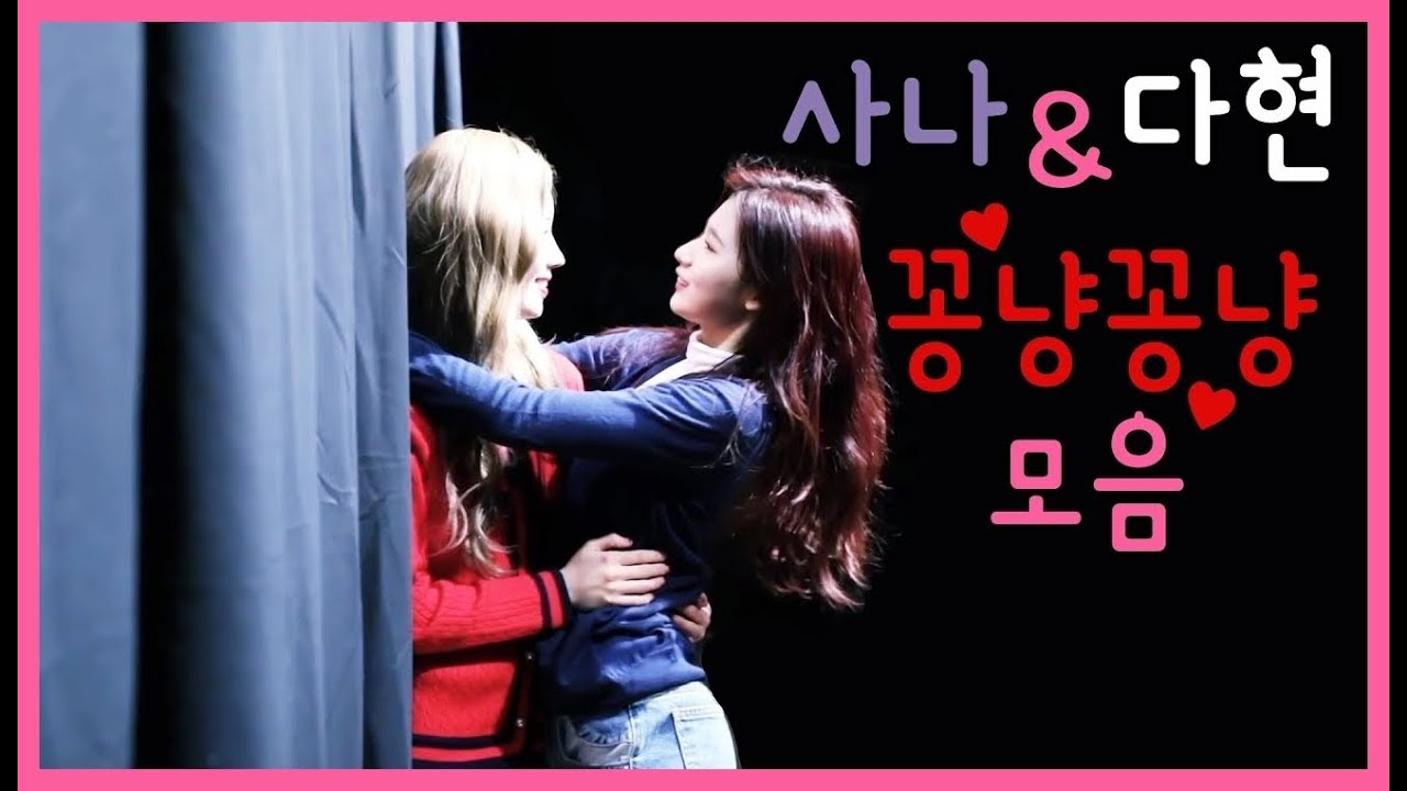 트와이스 사나 x 다현 꽁냥꽁냥 모음