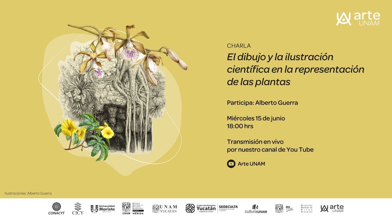 El dibujo y la ilustración científica en la representación de las plantas