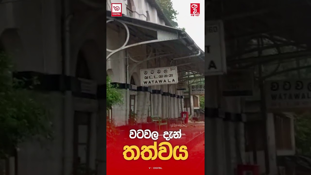වටවල දැන් තත්වය...