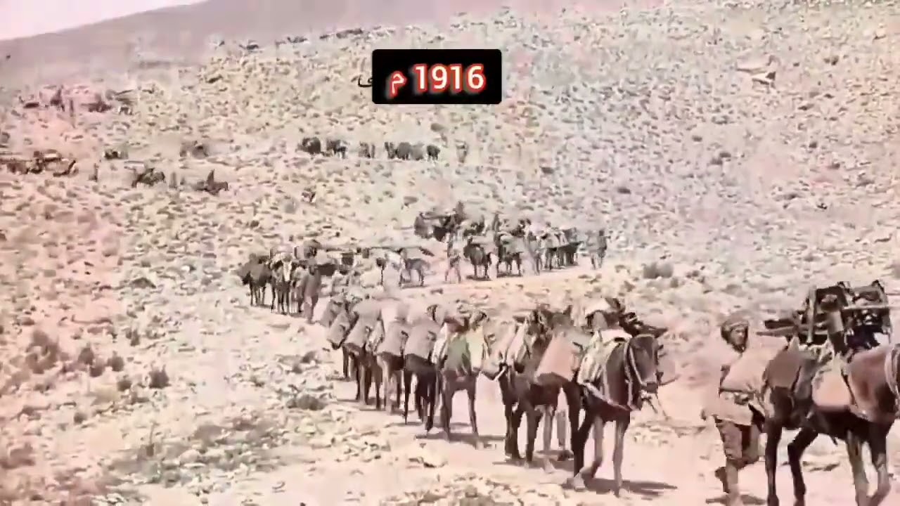 1916 قوات 