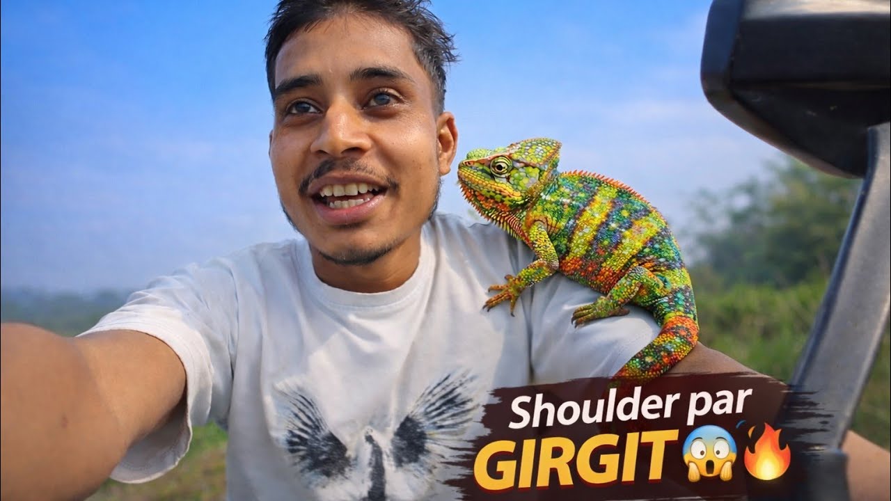 आज मेरे घर पर निकले गिरगिट 🦎तो मैं अपने साथ #vlog 