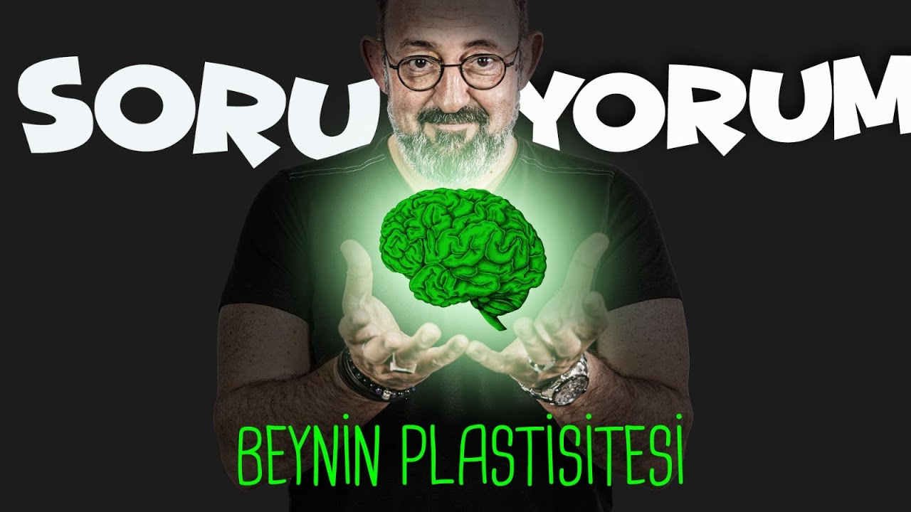 SoruYorum - Beyin Plastisitesi Nedir ?