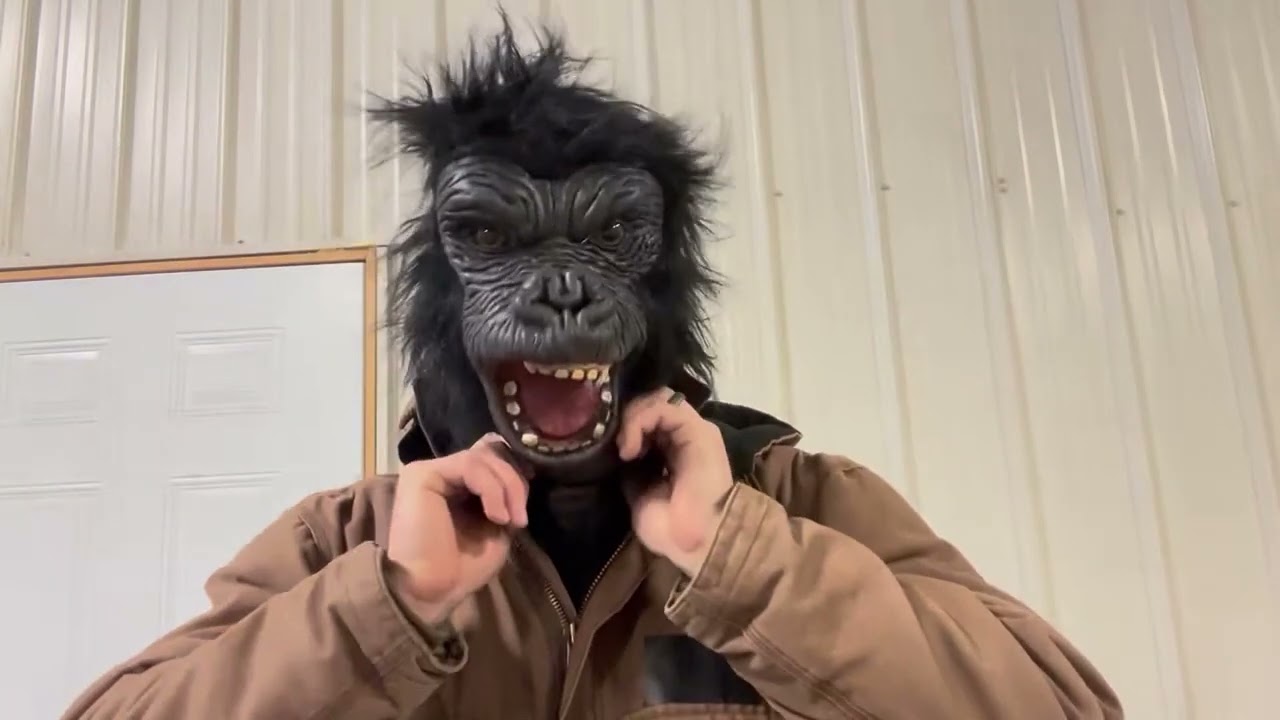 Honest review on this fun gorilla mask  Scare your friends or kids with it!
