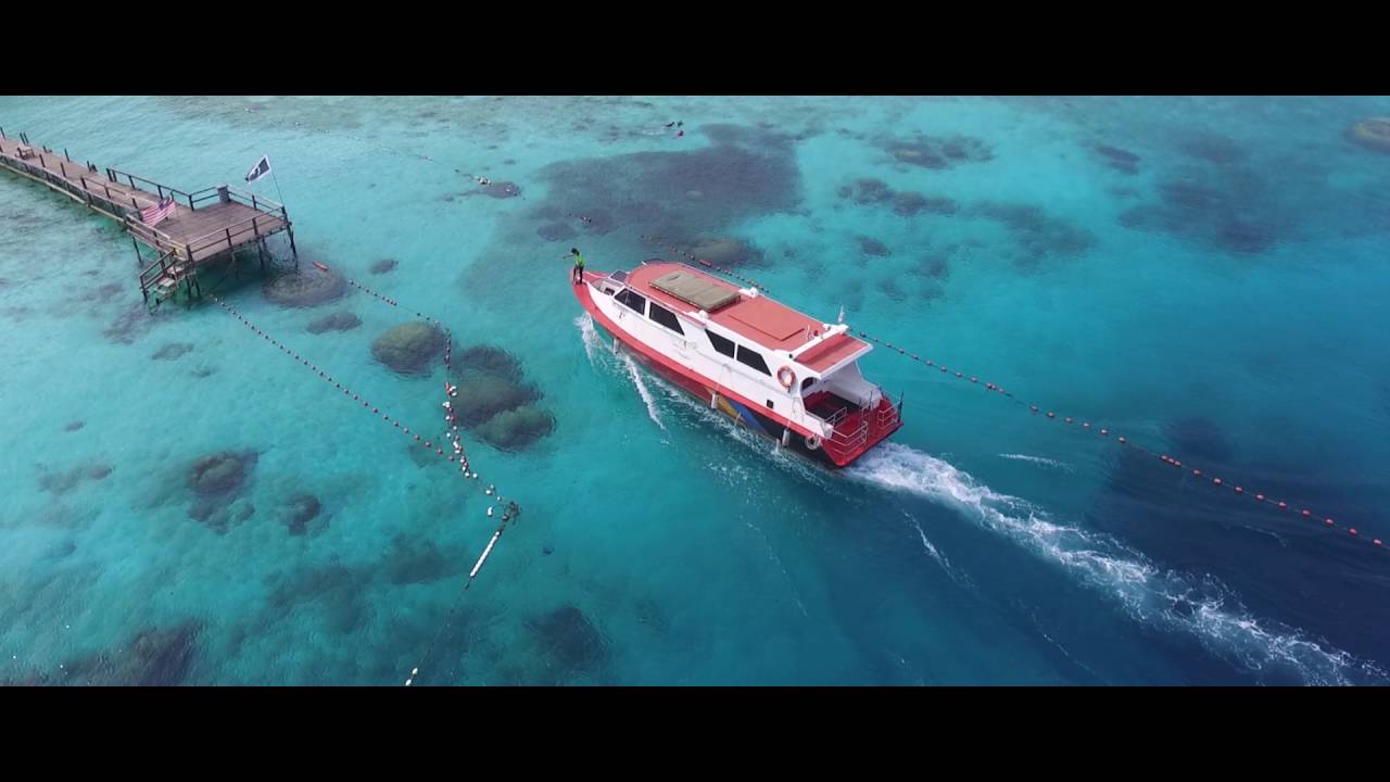 Lang Tengah Island浪中岛~《海马》 微电影
