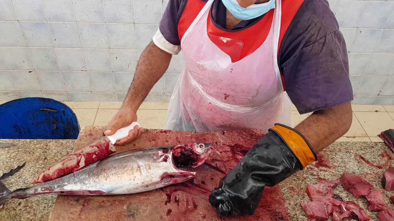 Baby Tuna Cutting Skill। Tuna Fish Fillet by Knife। Bigeye Tuna Sashimi। Bluefin Baby Tuna Fillet