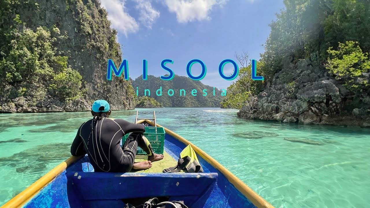 MISOOL, Raja Ampat 🤿 Homestay | Land Based Diving Trip, 2023-24
