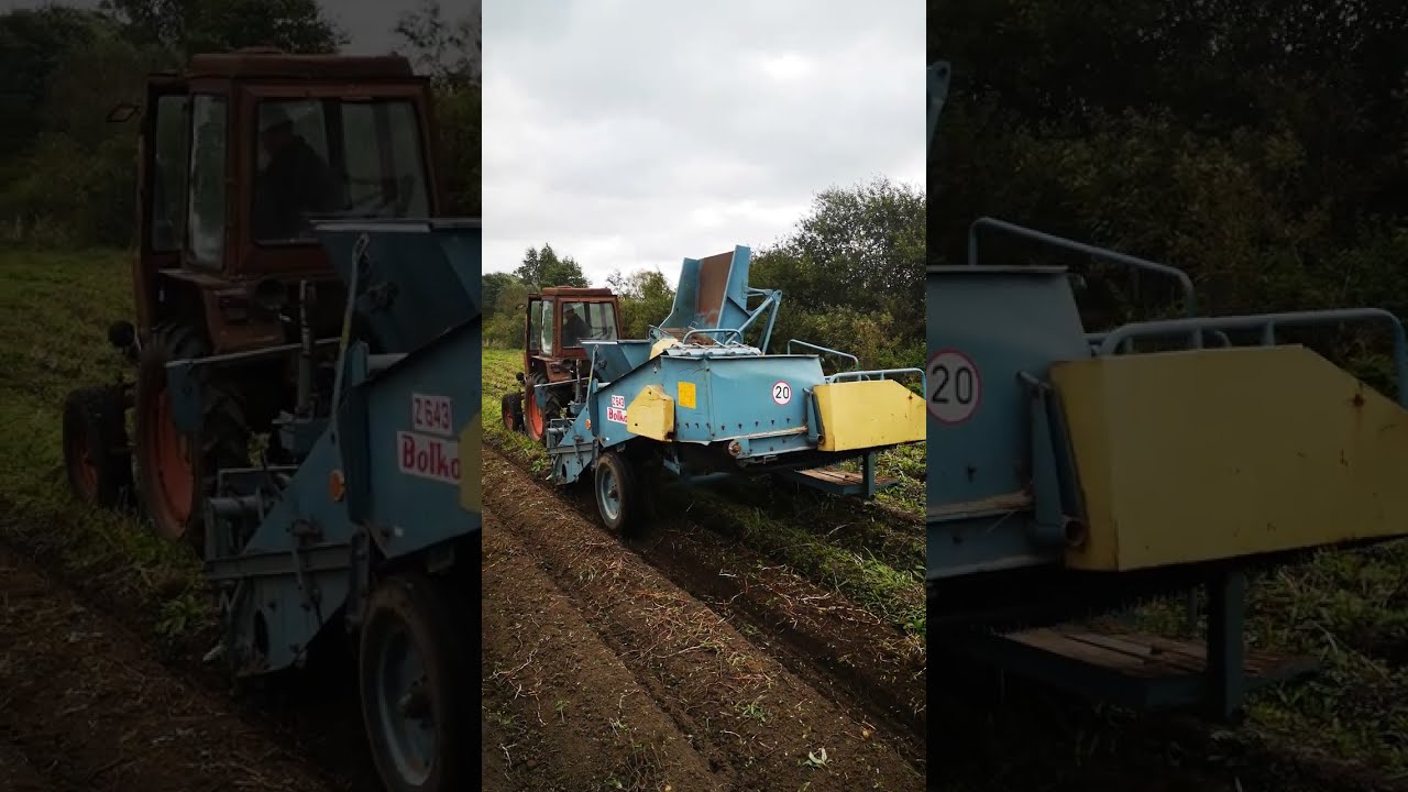 T 25 + bolko z643