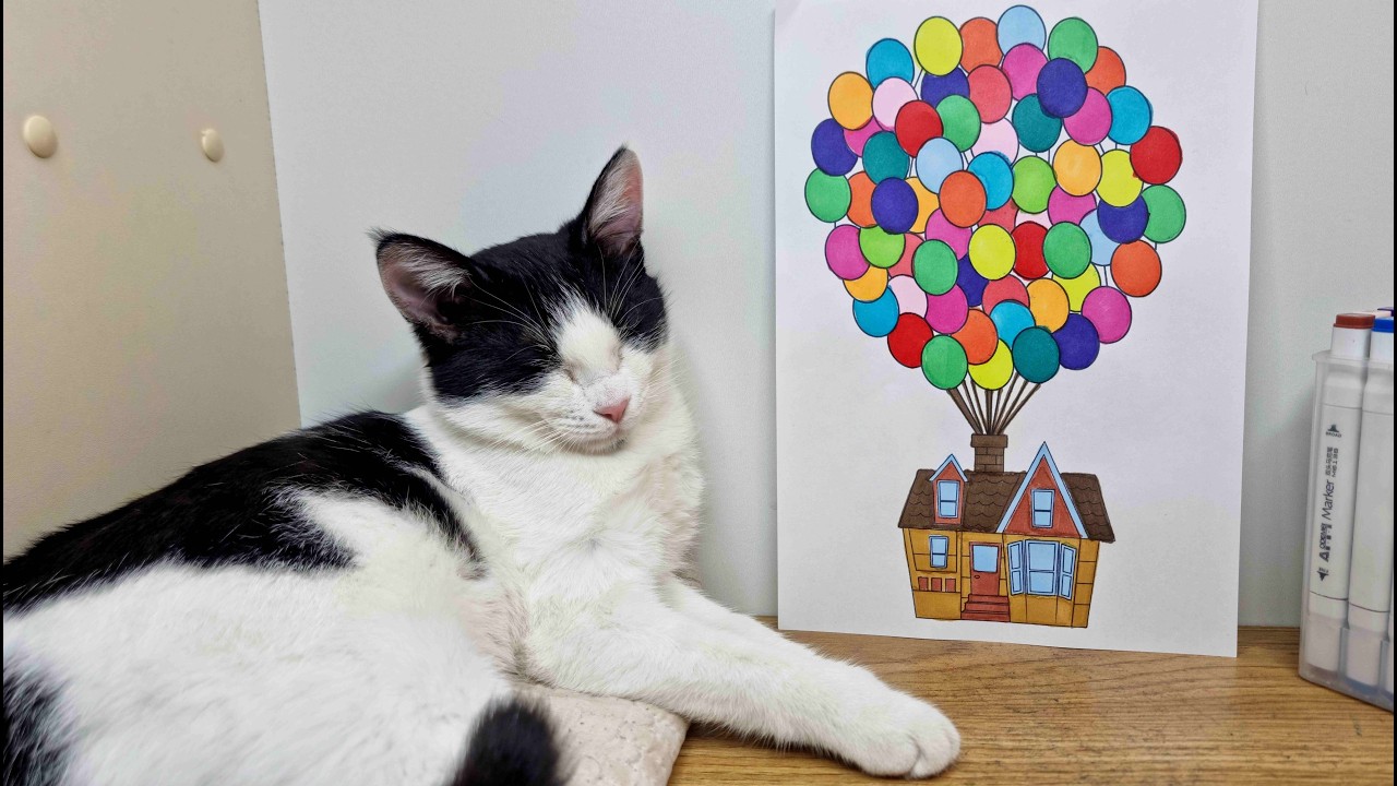 Coloring Balloon House with Sleeping Cat 🎈🐱 Relaxing Kids Coloring Book Art