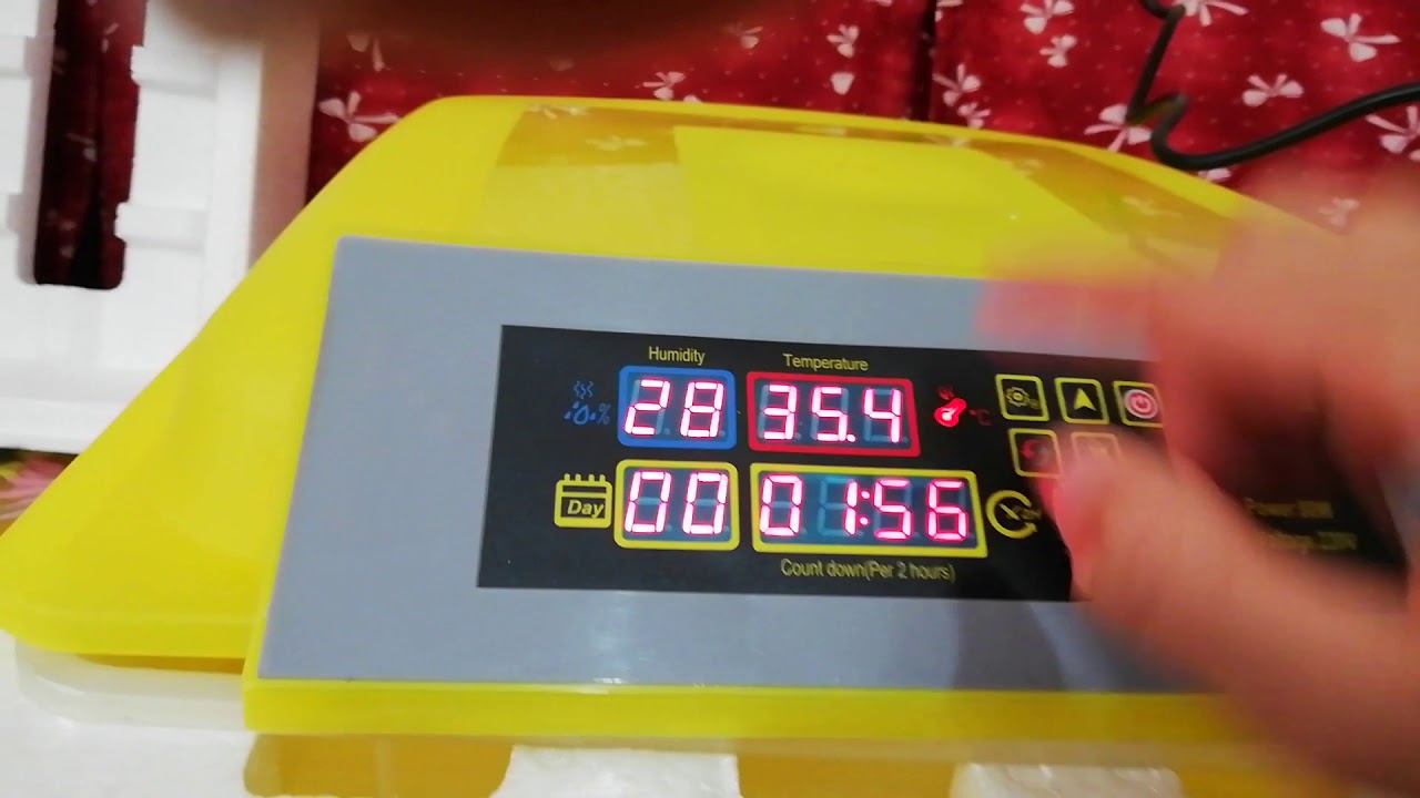 48'lik kuluçka makinesi nasıl kullanılır kurulum detaylı anlatım kmai yeni makinem