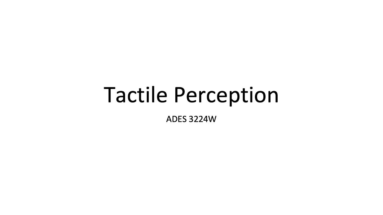 Tactile Perception V2