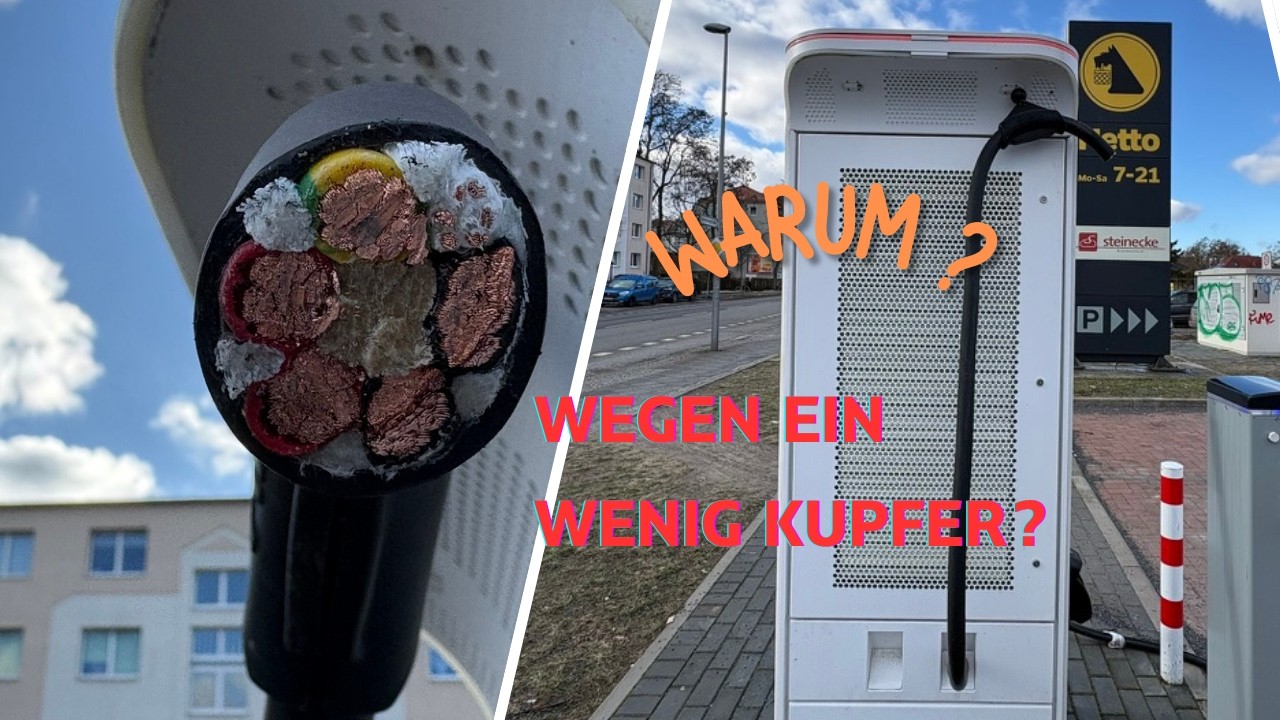 Das erste mal bei uns gesehen.